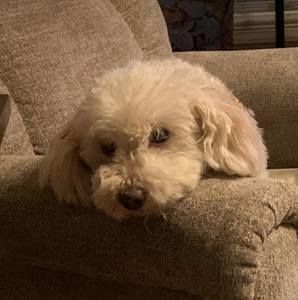 Meet your Posher, April